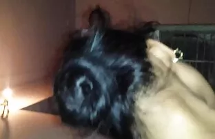 Tushy-エミリー-ウィリス-エミリーの最初の任命 女性 向け av 無料 無 修正