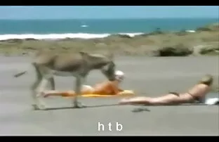 パパ-オン-男の子肛門楽しい撮影でクローズアップ 女性 用 無 修正 無料 動画