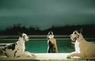 なぜそんなふうに私をファックしないの？ 女性 専用 無 修正 動画