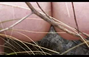 チェコハンター160 女性 向け 動画 無料 無 修正