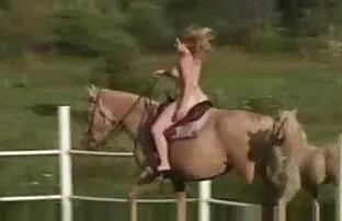 挑発的な成熟した女の子は掘削されるのが好きです。 av 女性 向け 無 修正