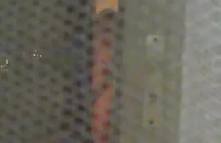 ハーレーディックを吸う 女性 向け 無 修正 無料 動画